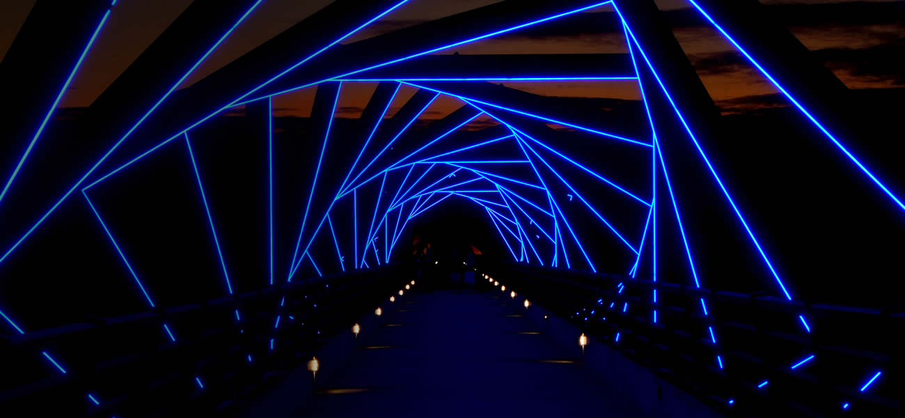 Bridge Night